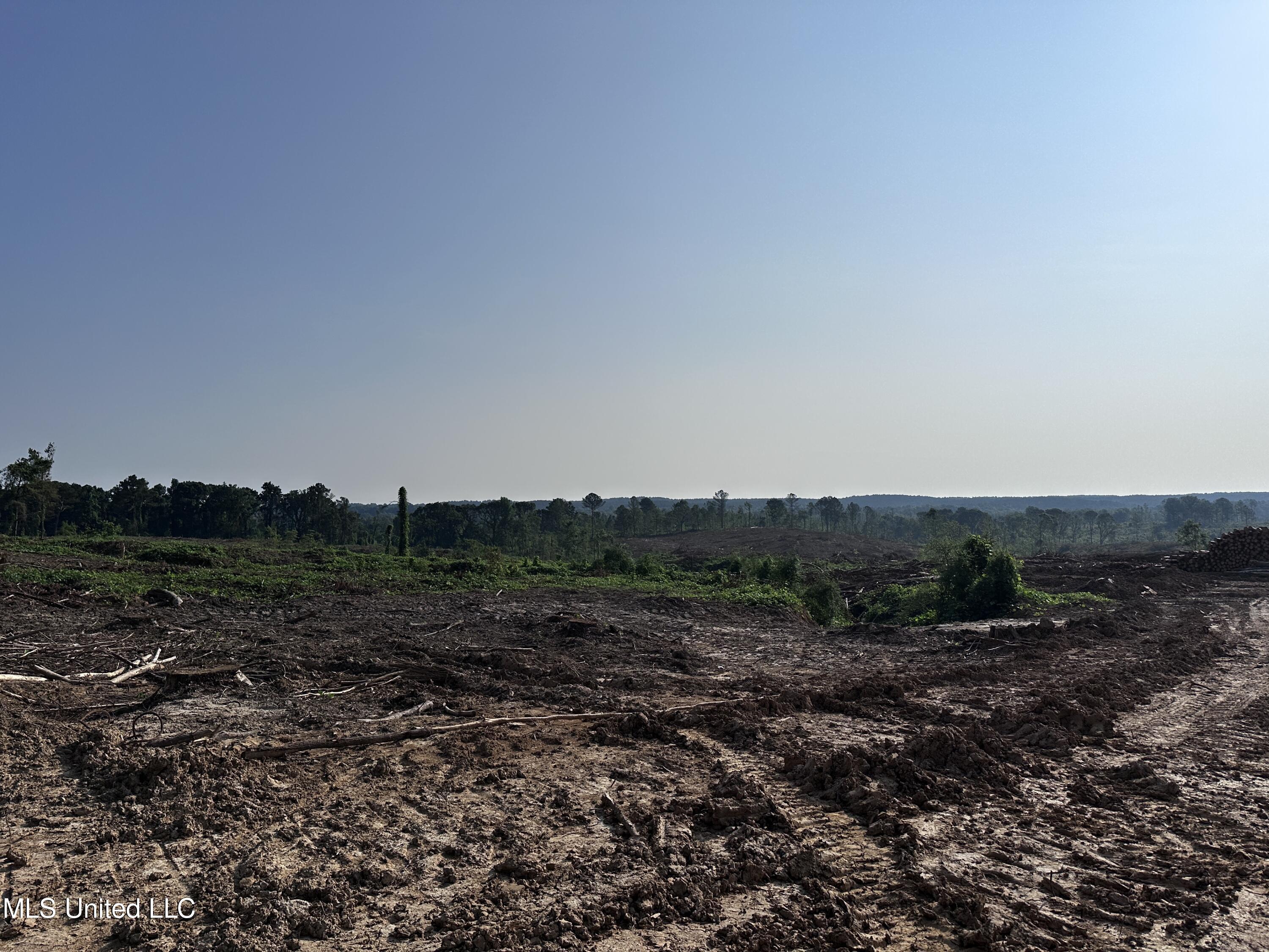 309 Co Road Oxford, MS 38655 - Photo 7 of 26 IMG_4730