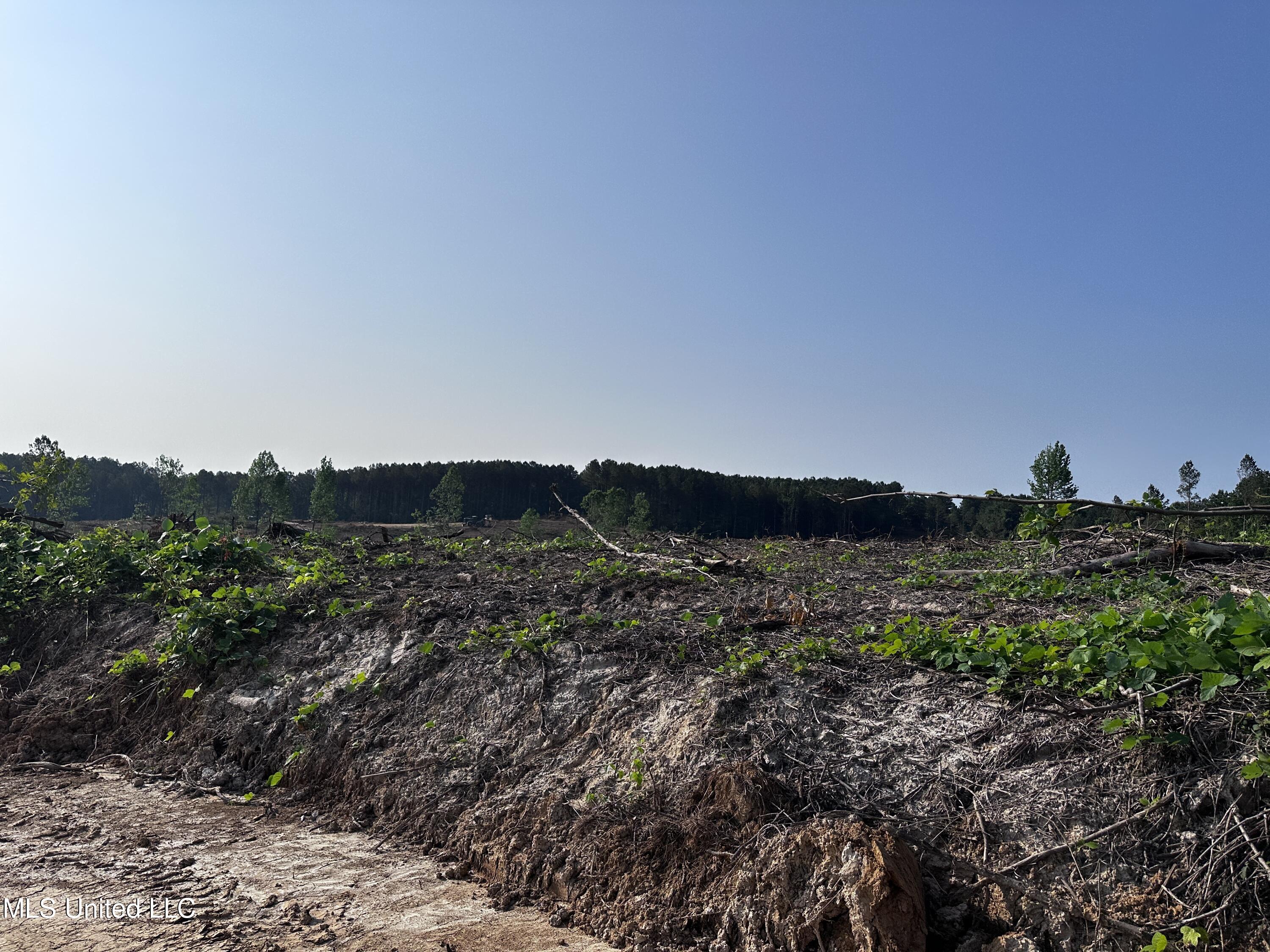 309 Co Road Oxford, MS 38655 - Photo 9 of 26 IMG_4732
