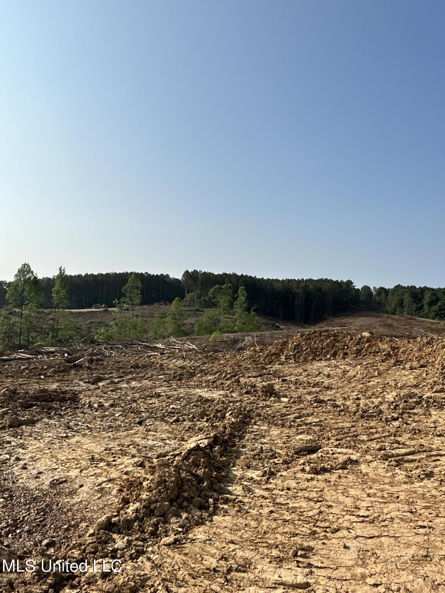 309 Co Road Oxford, MS 38655 - Photo 10 of 26 IMG_4737