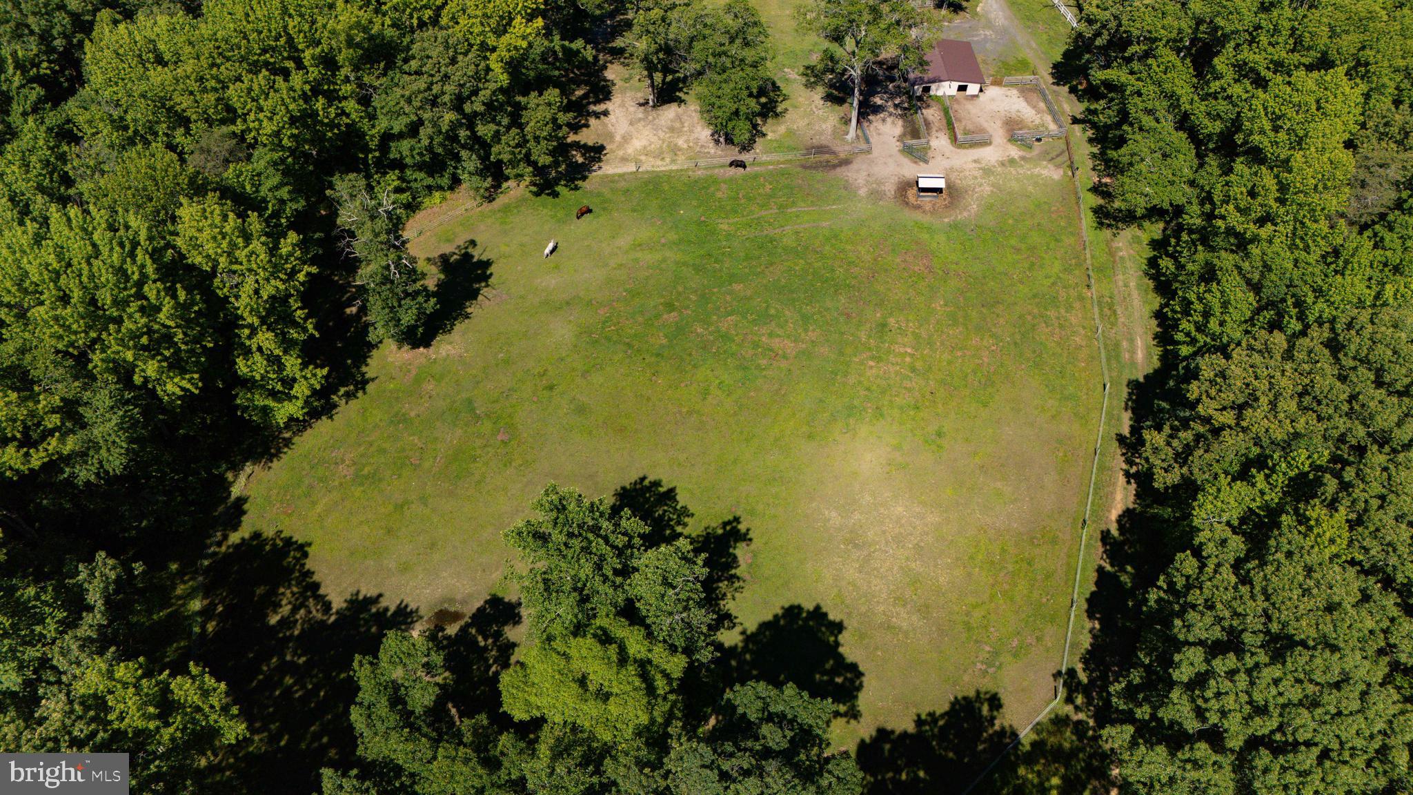 99 East Lewis Shore Road Elkton, MD 21921 - Photo 62 of 74