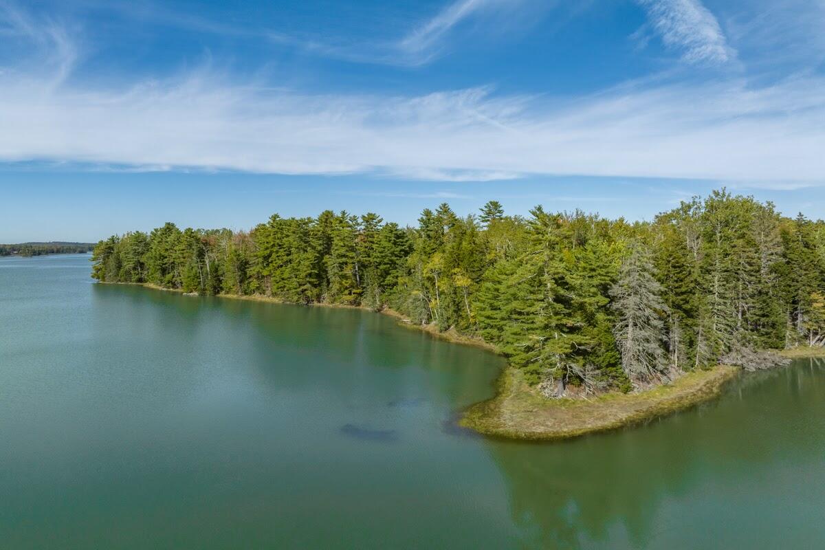 0 Partridge Cove Road Lamoine, ME 04605 - Photo 3 of 21 22 - 386 Partridge Cove Road Land LoRes