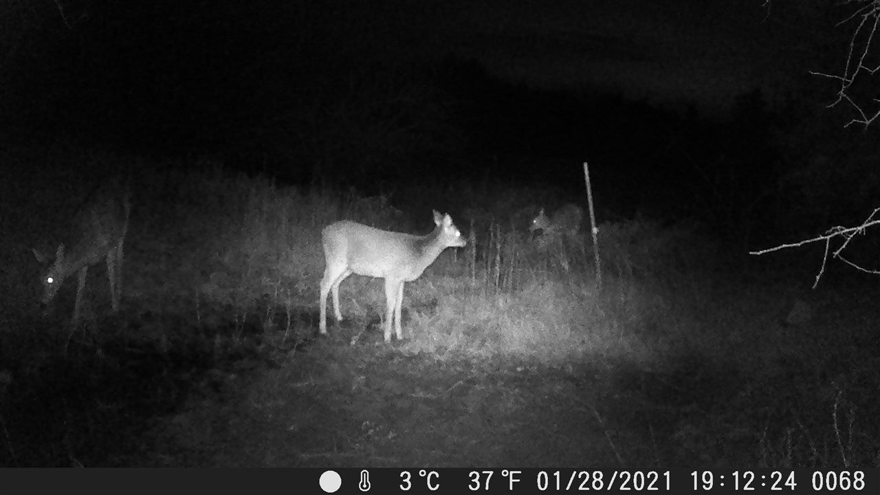 0 South Western Road Stillwater, OK 74074 - Photo 20 of 21 Gallery Image 20