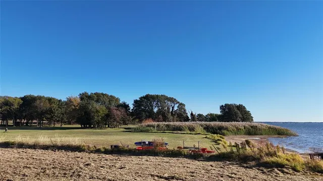 a view of a yard with a tree