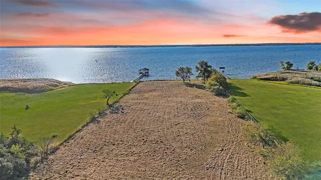 a view of a backyard with plants and lake view