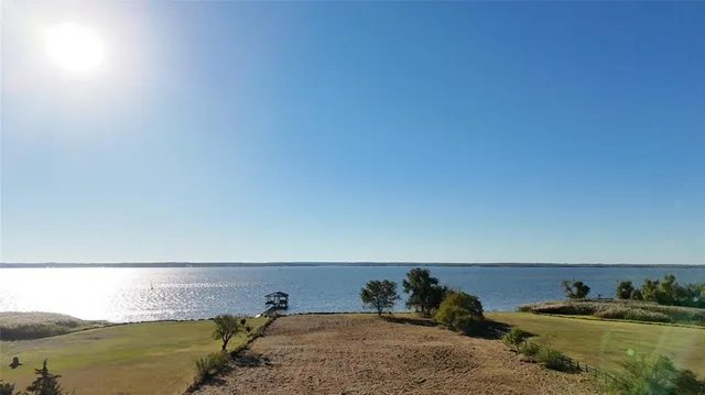 a view of a yard with trees in the background