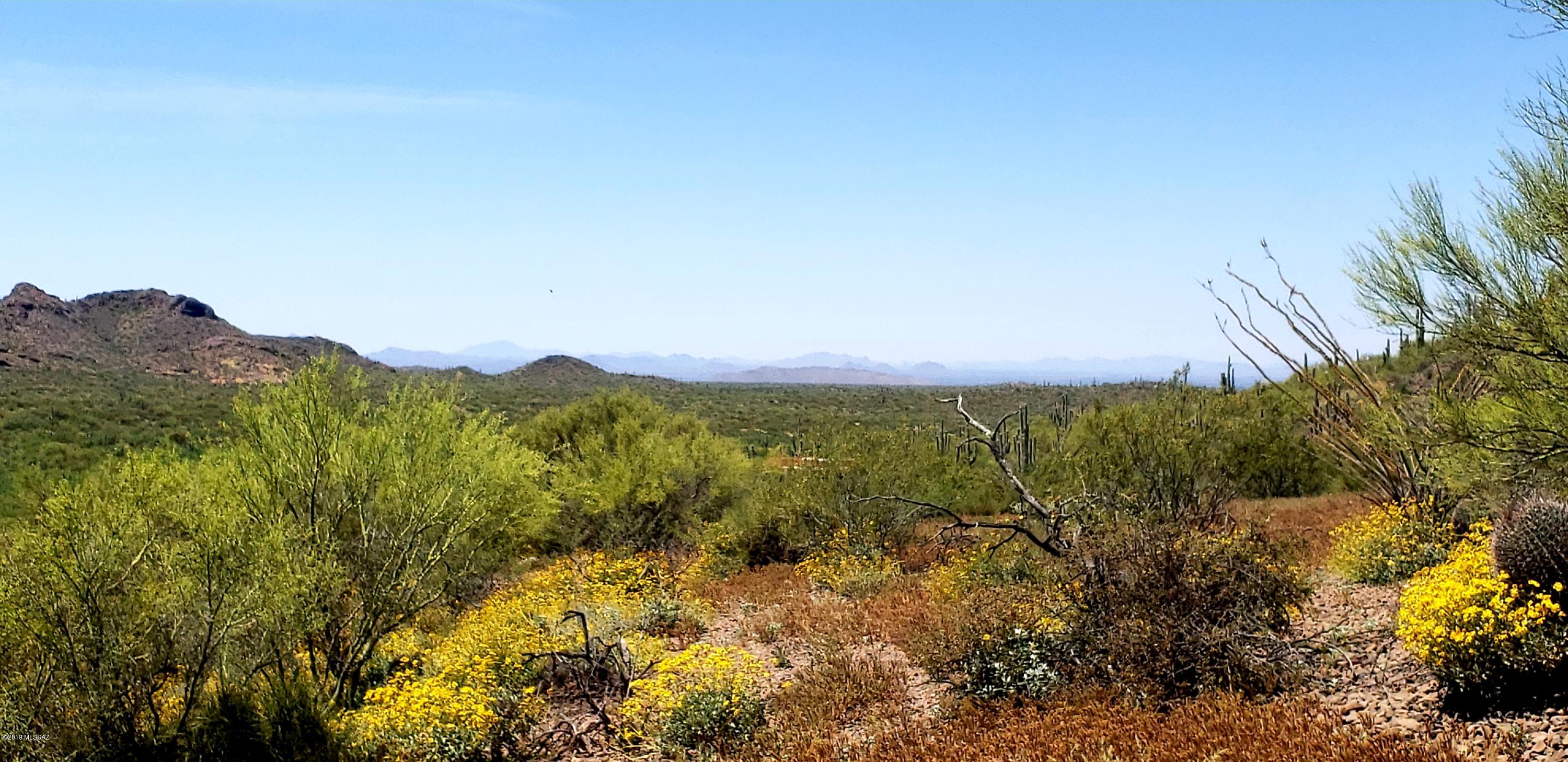 Tbd South Blazed Ridge Road, Unit C2 Tucson, AZ 85739 - Photo 3 of 37