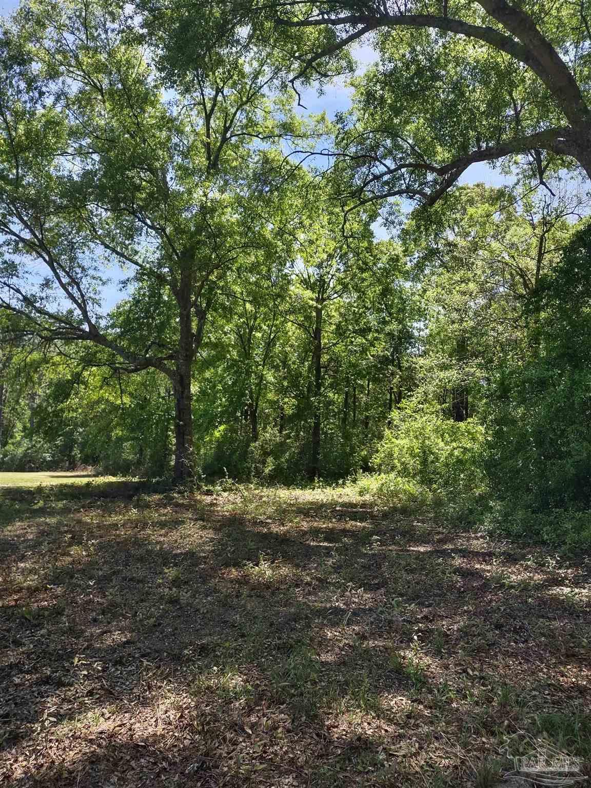 521 Cox Road McDavid, FL 32568 - Photo 27 of 32