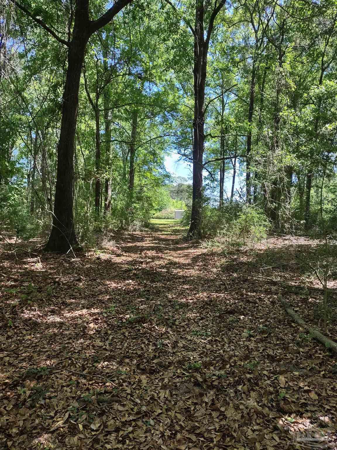 521 Cox Road McDavid, FL 32568 - Photo 28 of 32