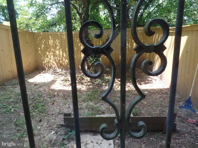 a view of a yard with large tree