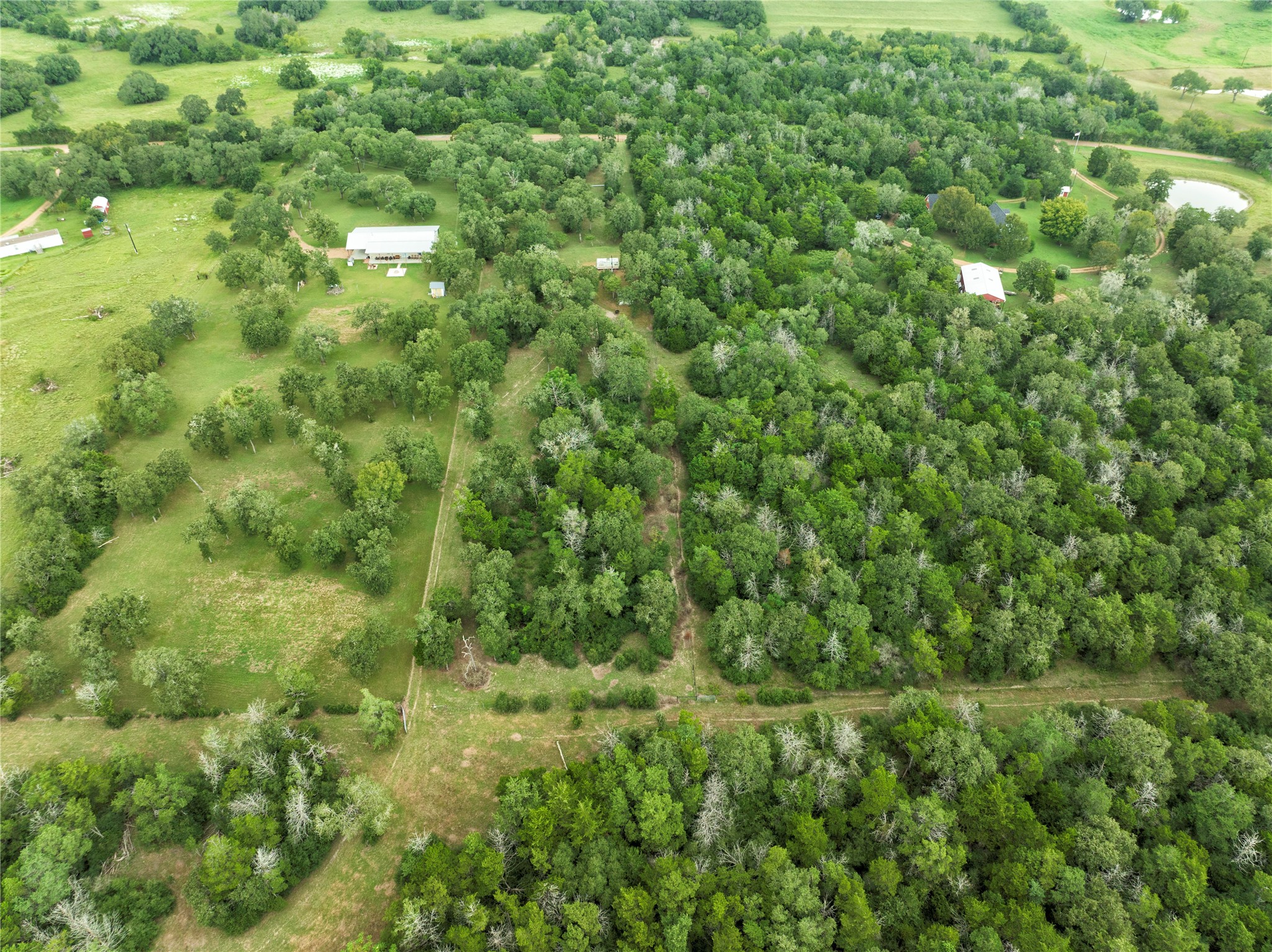 4744 Freyburg Hall Road Schulenburg, TX 78956 - Photo 12 of 15