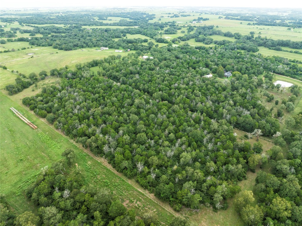 4744 Freyburg Hall Road Schulenburg, TX 78956 - Photo 13 of 15 a view of a field of grass and trees
