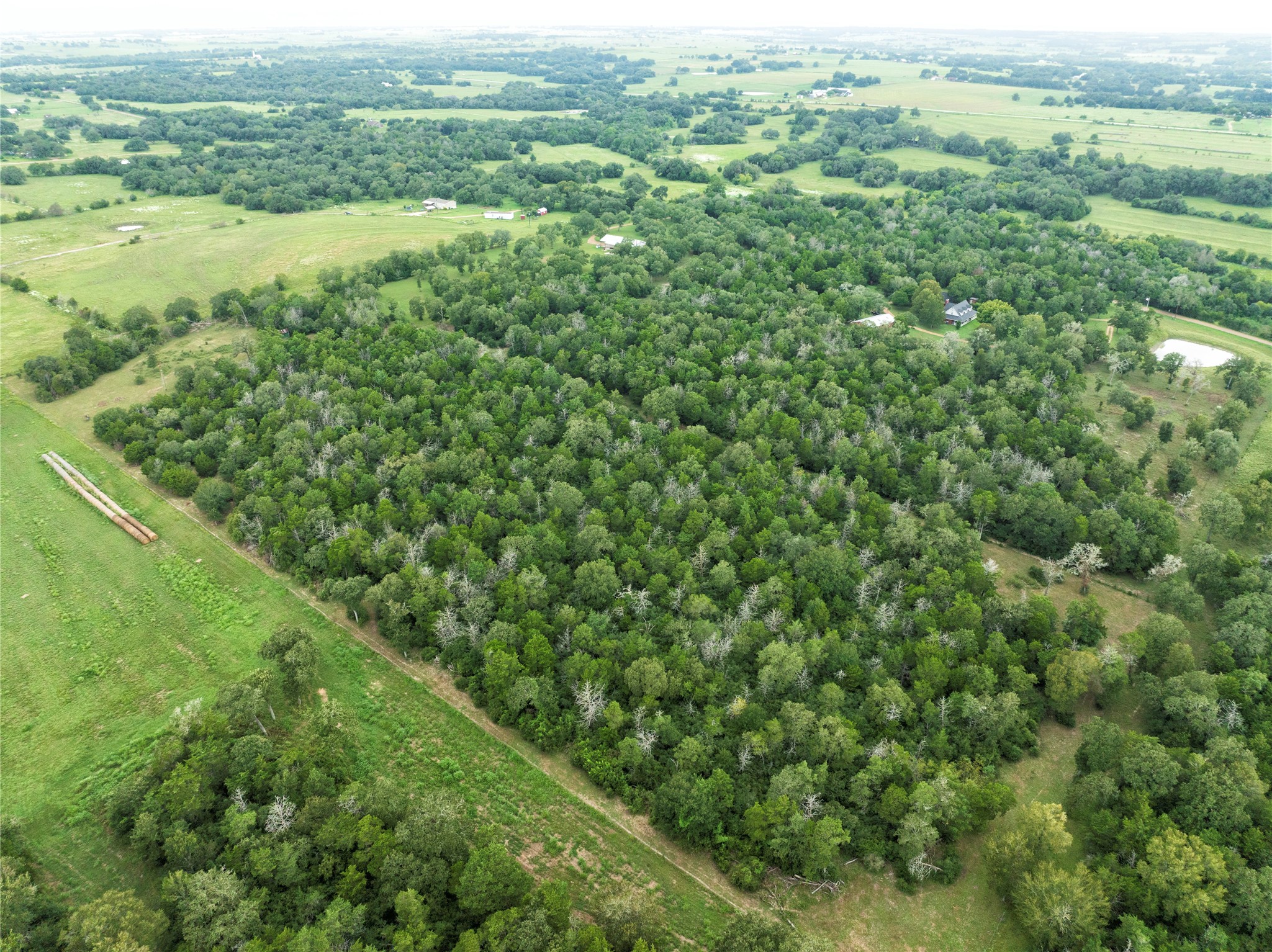 4744 Freyburg Hall Road Schulenburg, TX 78956 - Photo 13 of 15