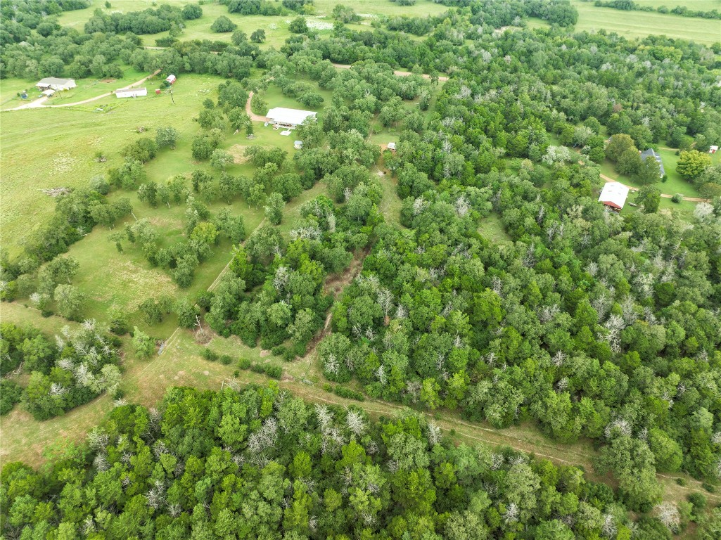 4744 Freyburg Hall Road Schulenburg, TX 78956 - Photo 14 of 15 a view of a lush green forest