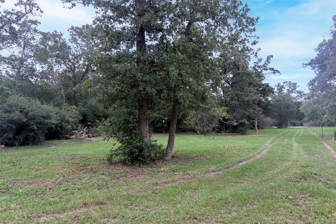 4744 Freyburg Hall Road Schulenburg, TX 78956 - Photo 3 of 15 a view of a field with a tree