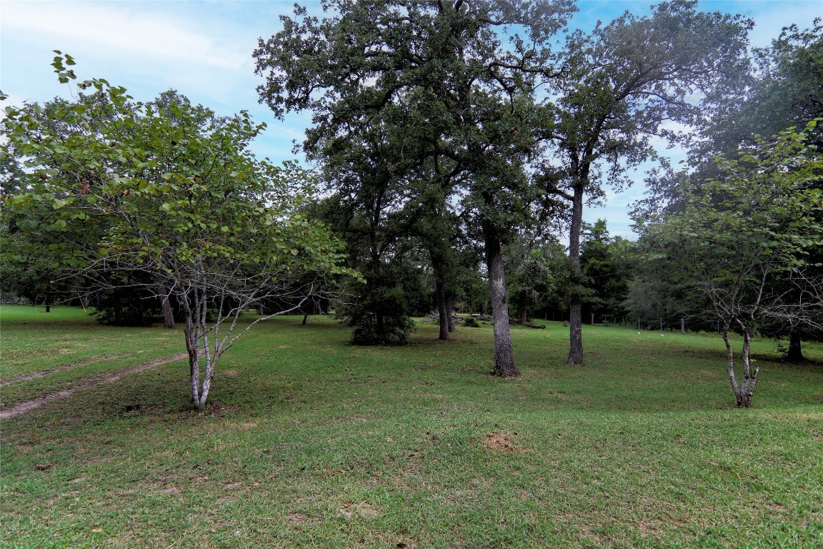 4744 Freyburg Hall Road Schulenburg, TX 78956 - Photo 4 of 15 a view of a park with of trees