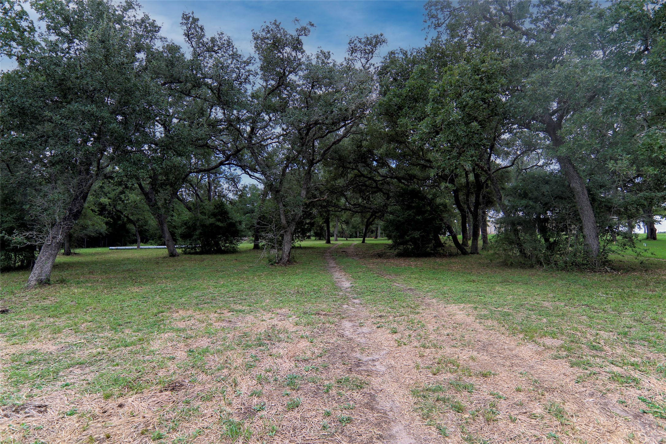 4744 Freyburg Hall Road Schulenburg, TX 78956 - Photo 6 of 15