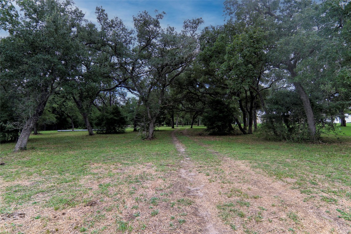 4744 Freyburg Hall Road Schulenburg, TX 78956 - Photo 6 of 15 a view of a trees in a park