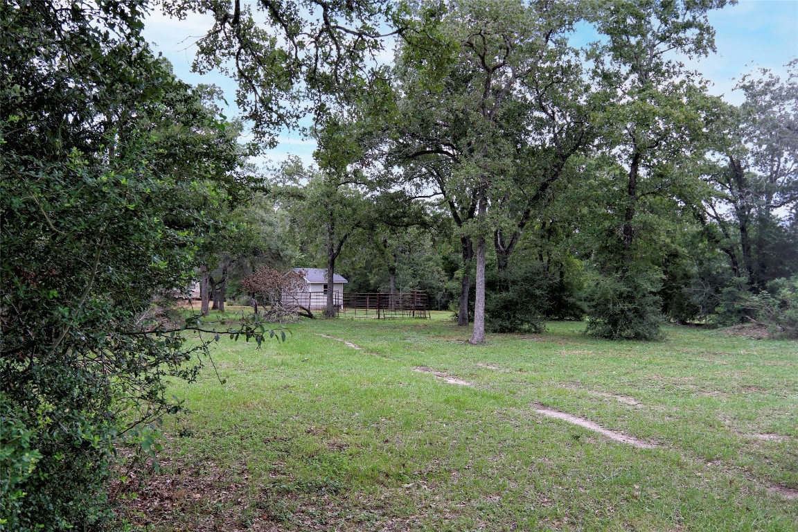 4744 Freyburg Hall Road Schulenburg, TX 78956 - Photo 7 of 15 a fire hydrant in the middle of a field