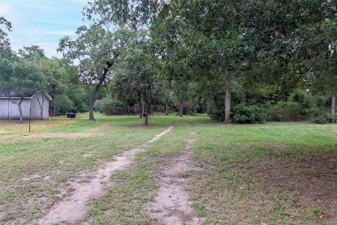 4744 Freyburg Hall Road Schulenburg, TX 78956 - Photo 8 of 15 a view of a field with a tree