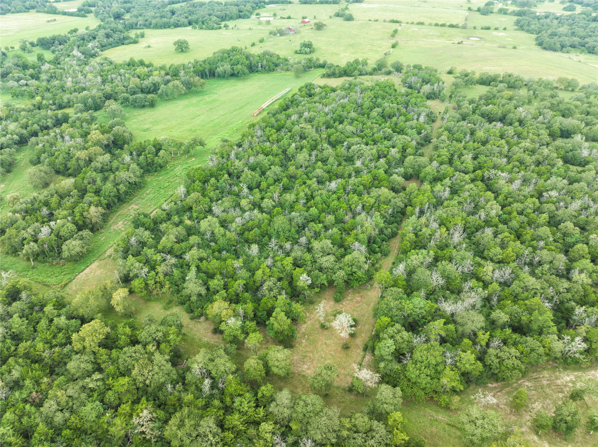 4744 Freyburg Hall Road Schulenburg, TX 78956 - Photo 10 of 15