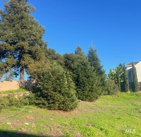 2005 Bracken Court Santa Rosa, CA 95403 - Photo 21 of 29 The smaller trees in front are on the property. The tree to the left is not on the property.