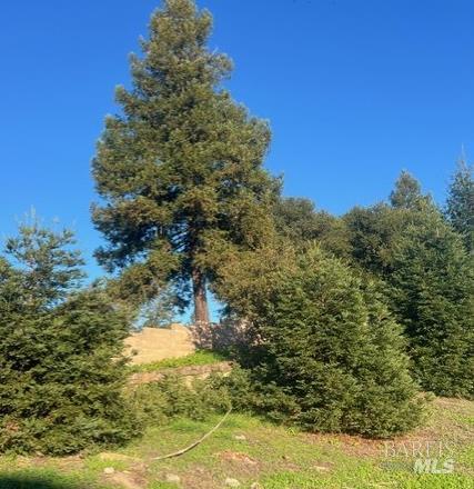 2005 Bracken Court Santa Rosa, CA 95403 - Photo 22 of 29 The tall tree in back is not on the property.