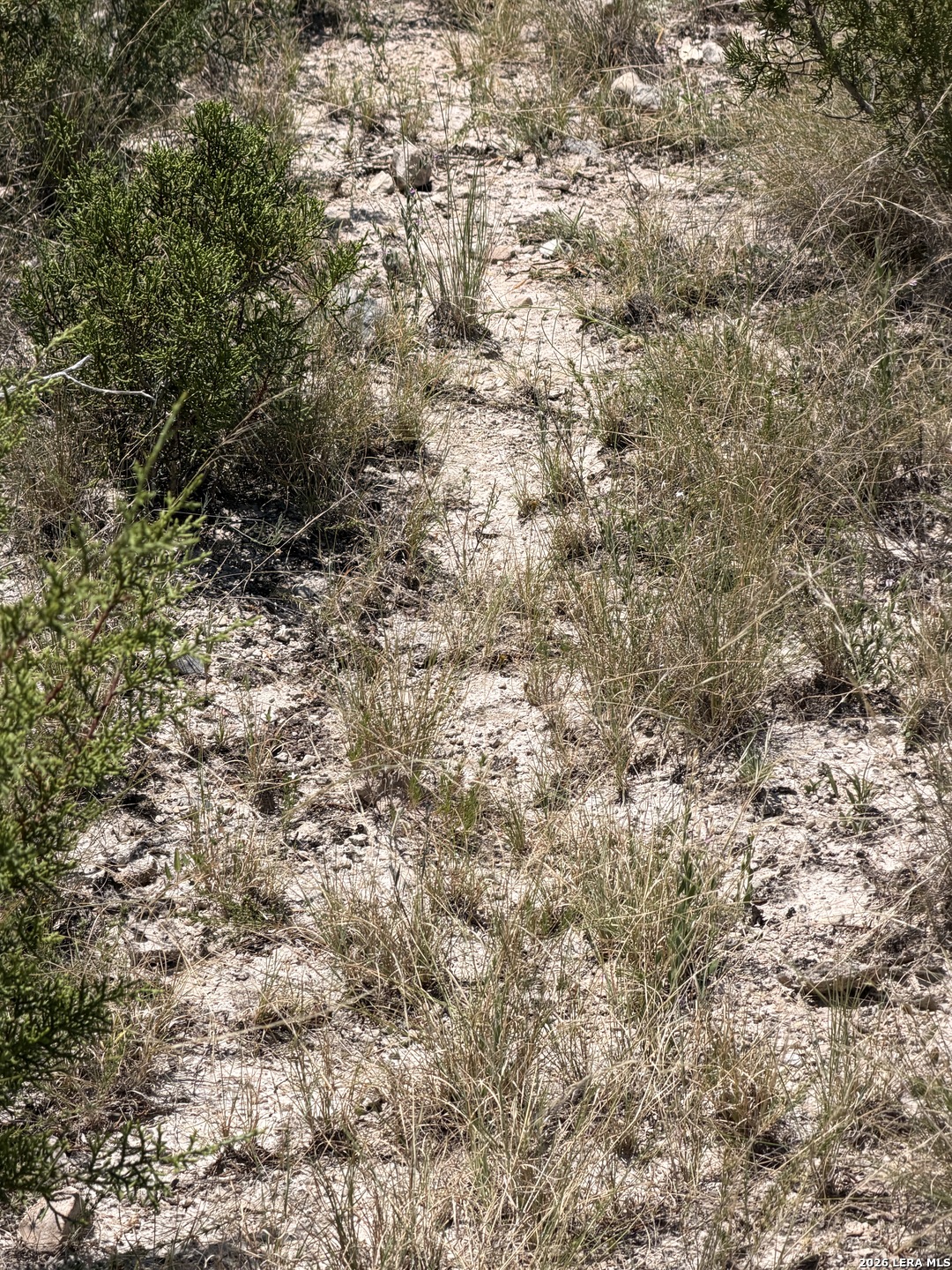 45425 SD 45425 Rocksprings, TX 78880 - Photo 27 of 43 Gallery Image 27