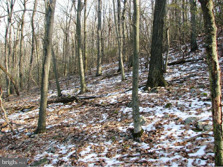 1425 McKnights Gap Road Reading, PA 19604 - Photo 1 of 5