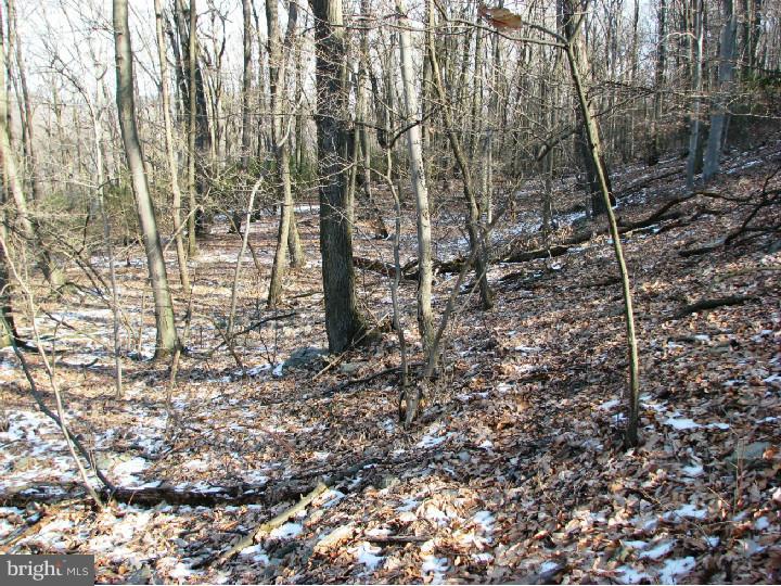 1425 McKnights Gap Road Reading, PA 19604 - Photo 2 of 5
