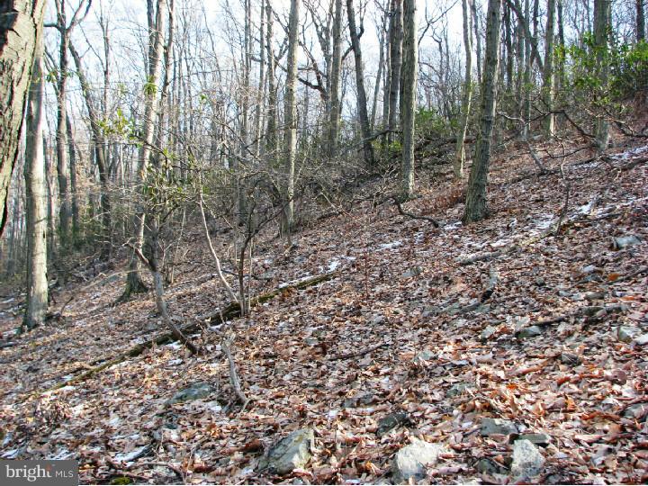 1425 McKnights Gap Road Reading, PA 19604 - Photo 3 of 5