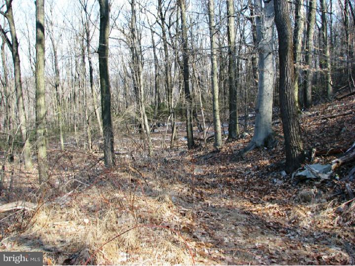 1425 McKnights Gap Road Reading, PA 19604 - Photo 4 of 5