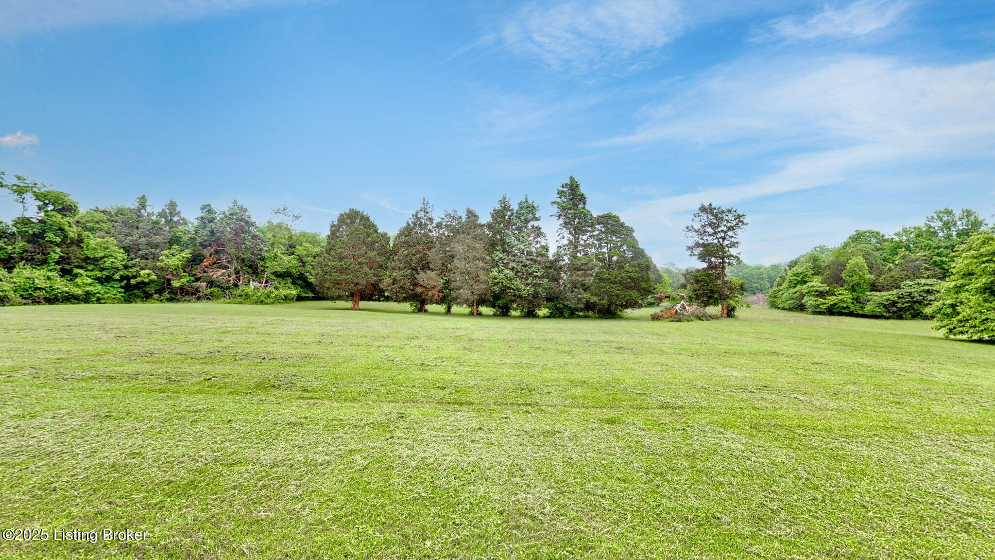 5801 Billtown Road Louisville, KY 40299 - Photo 53 of 69 Beautiful land.