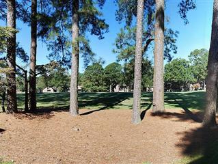 115 Beulah Hill Road South, Unit 111 Pinehurst, NC 28374 - Photo 14 of 15 Golf View