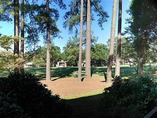 115 Beulah Hill Road South, Unit 111 Pinehurst, NC 28374 - Photo 15 of 15 View from Patio