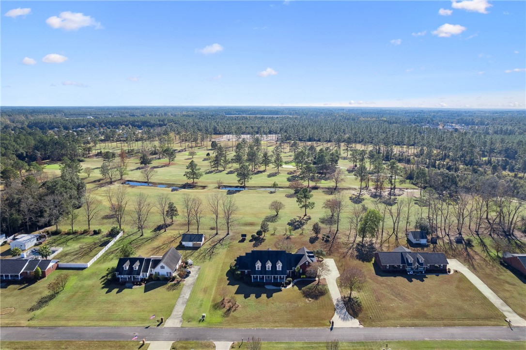 3951 Golfview Drive Blackshear, GA 31516 - Photo 44 of 51