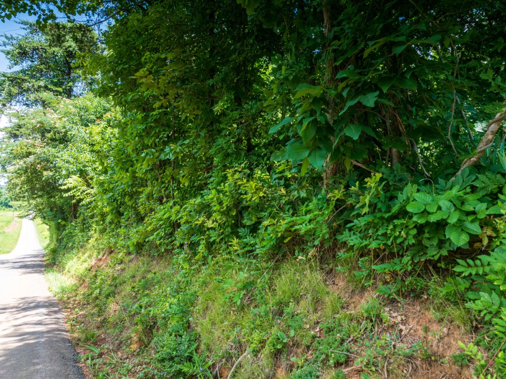 0 McGhee Road Greenback, TN 37742 - Photo 33 of 40