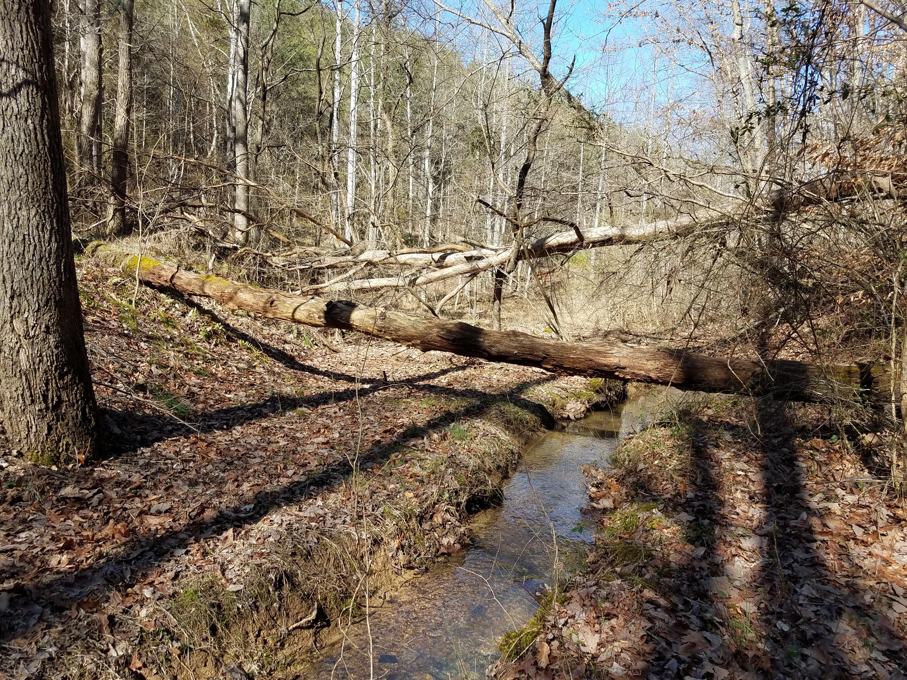 24.7-acres Miller Hollow Road Bean Station, TN 37708 - Photo 1 of 17 20180227_145248