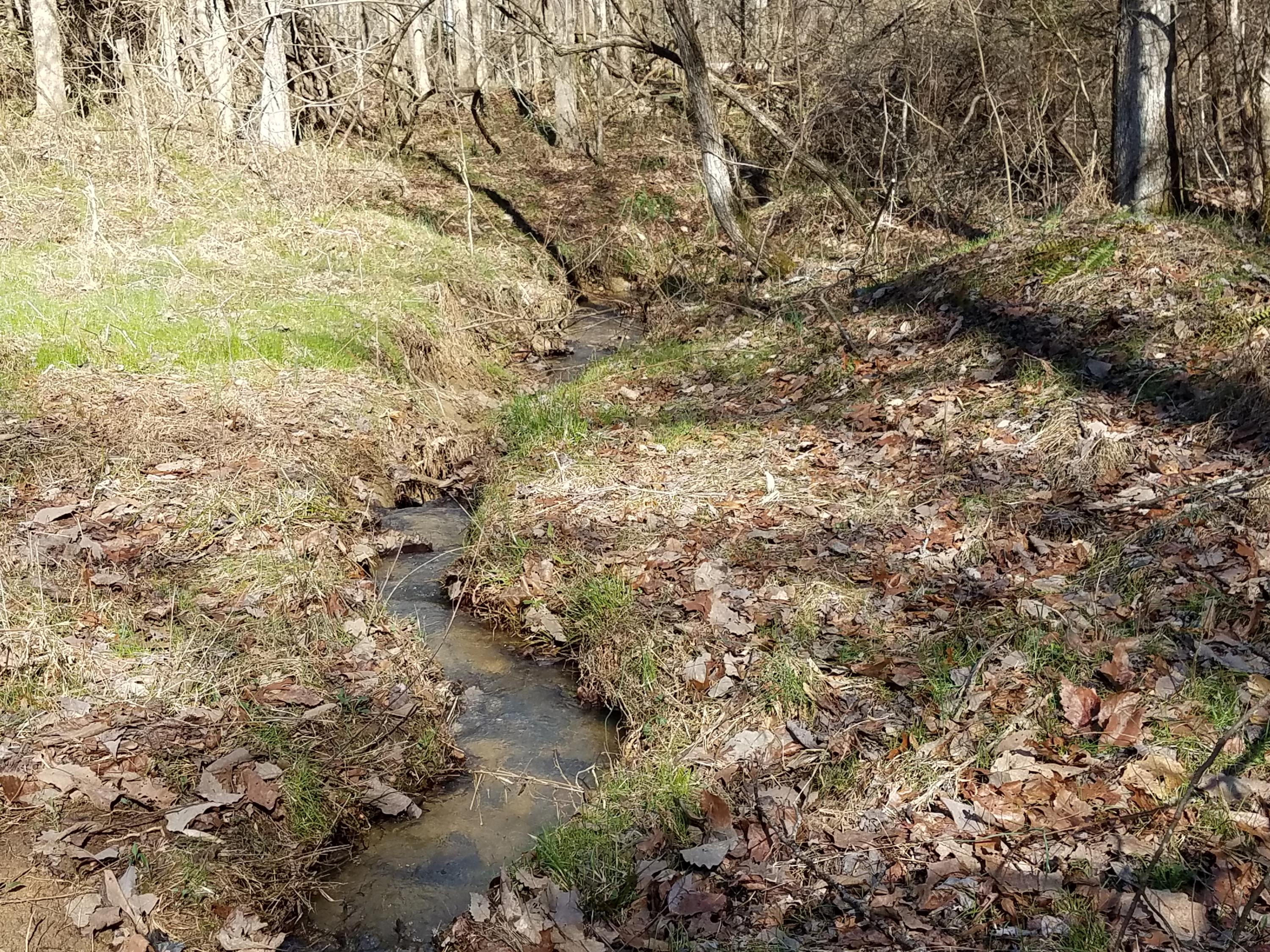24.7-acres Miller Hollow Road Bean Station, TN 37708 - Photo 2 of 17 20180227_145545