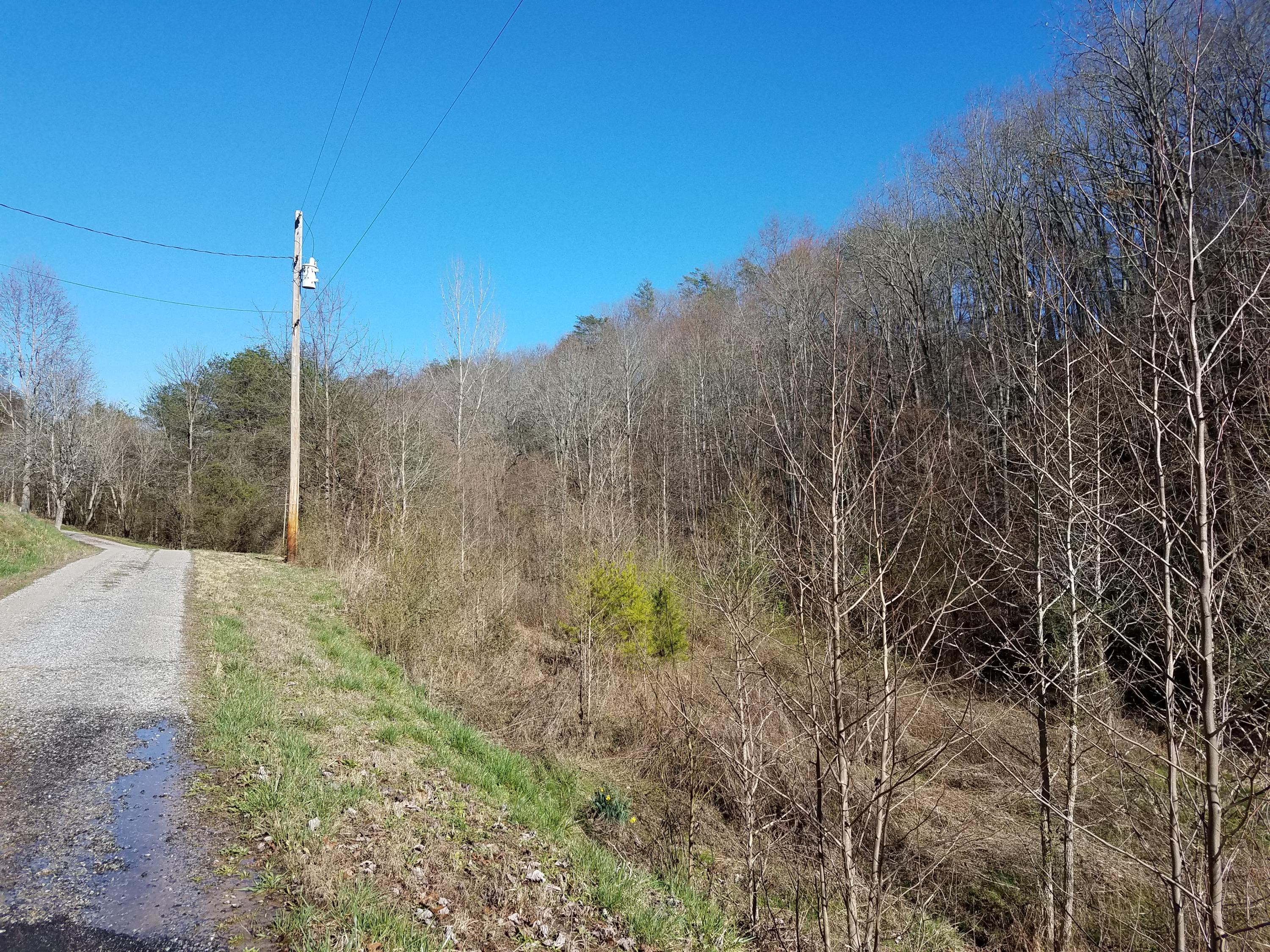 24.7-acres Miller Hollow Road Bean Station, TN 37708 - Photo 17 of 17 20180227_150218