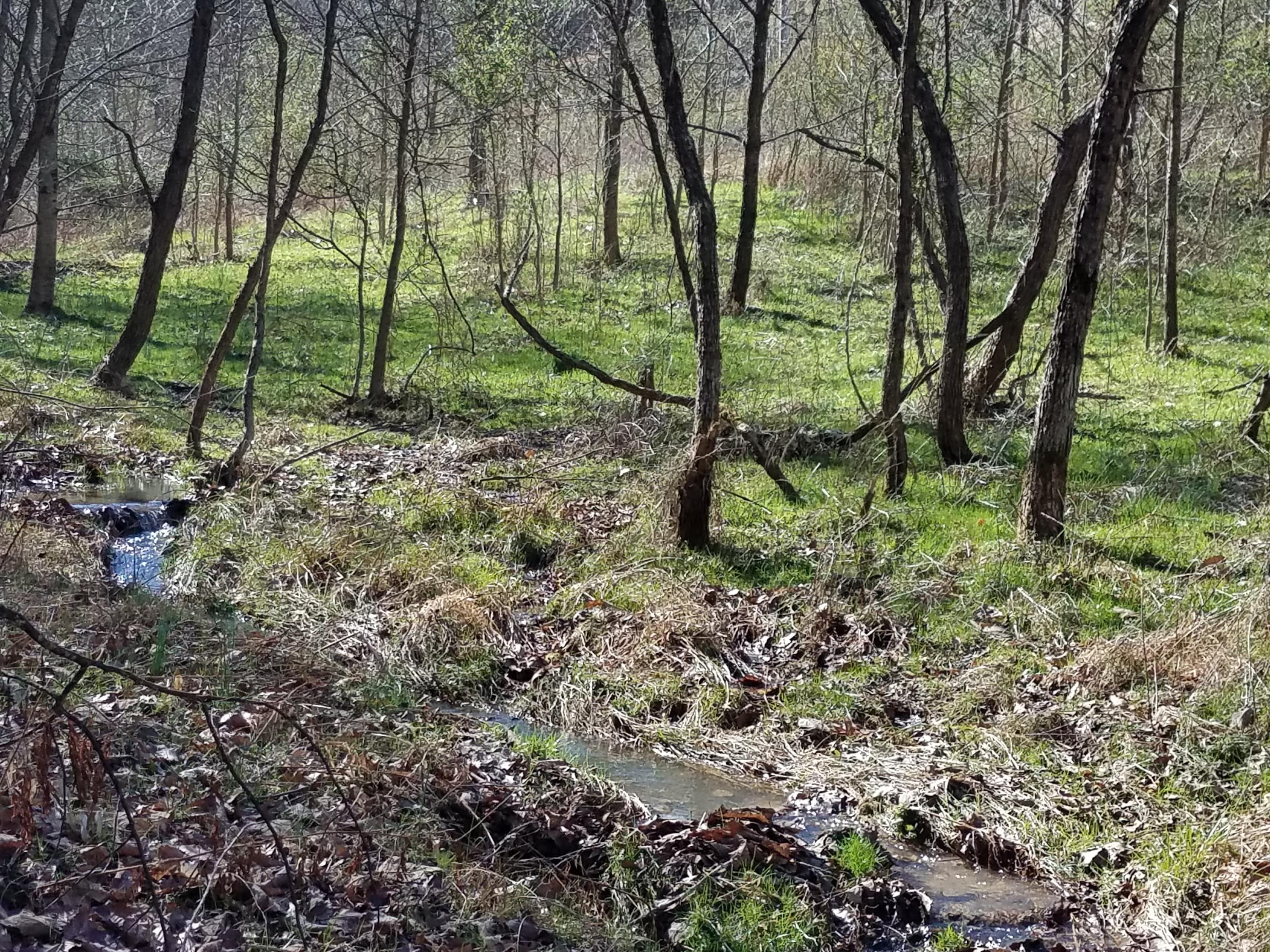 24.7-acres Miller Hollow Road Bean Station, TN 37708 - Photo 3 of 17 20180227_145525
