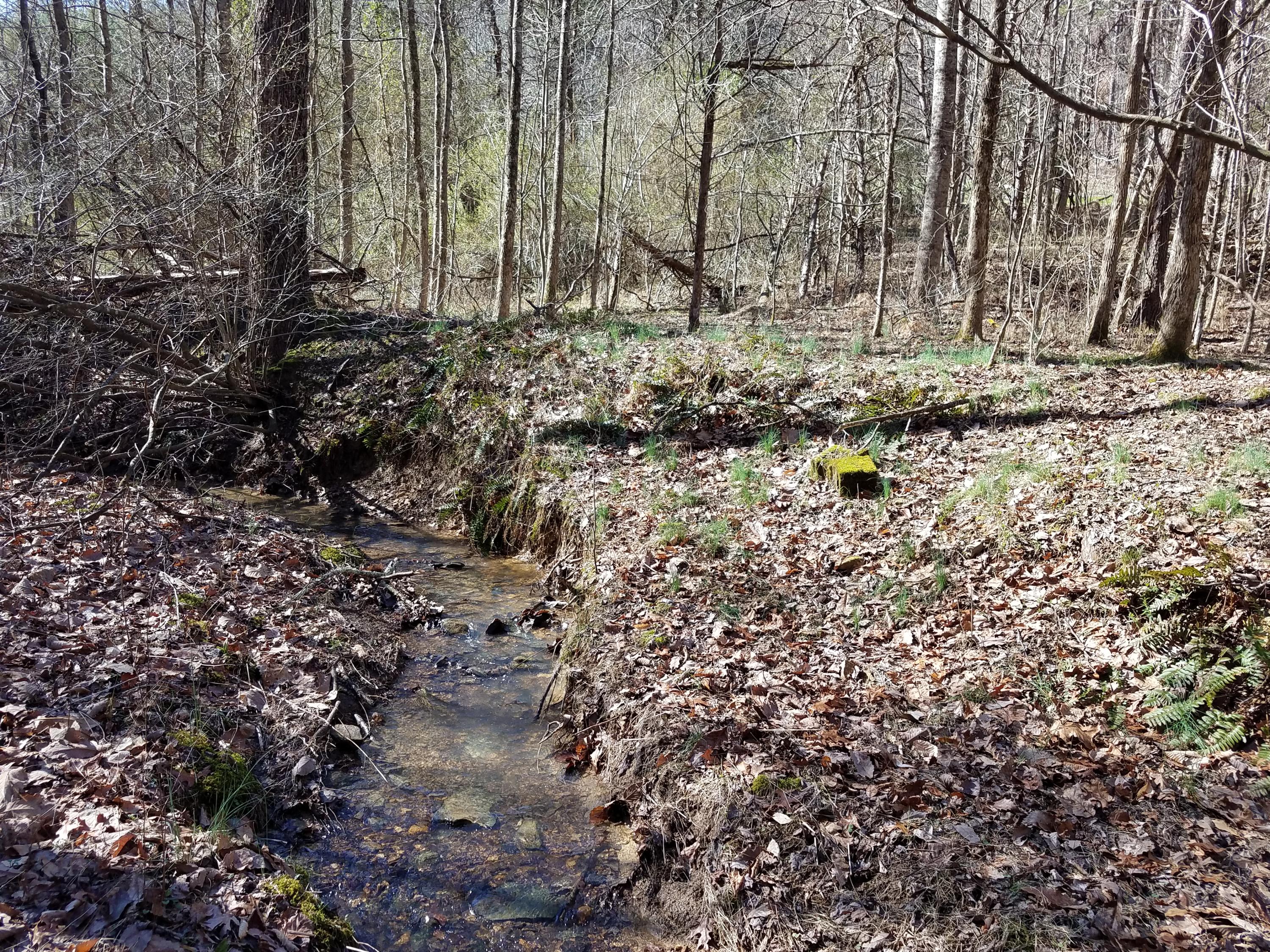 24.7-acres Miller Hollow Road Bean Station, TN 37708 - Photo 4 of 17 20180227_145257