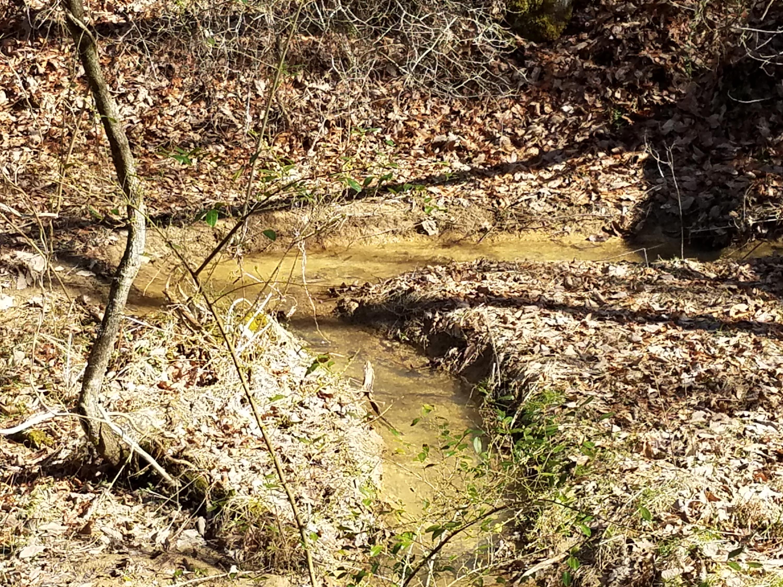 24.7-acres Miller Hollow Road Bean Station, TN 37708 - Photo 7 of 17 20180227_145024
