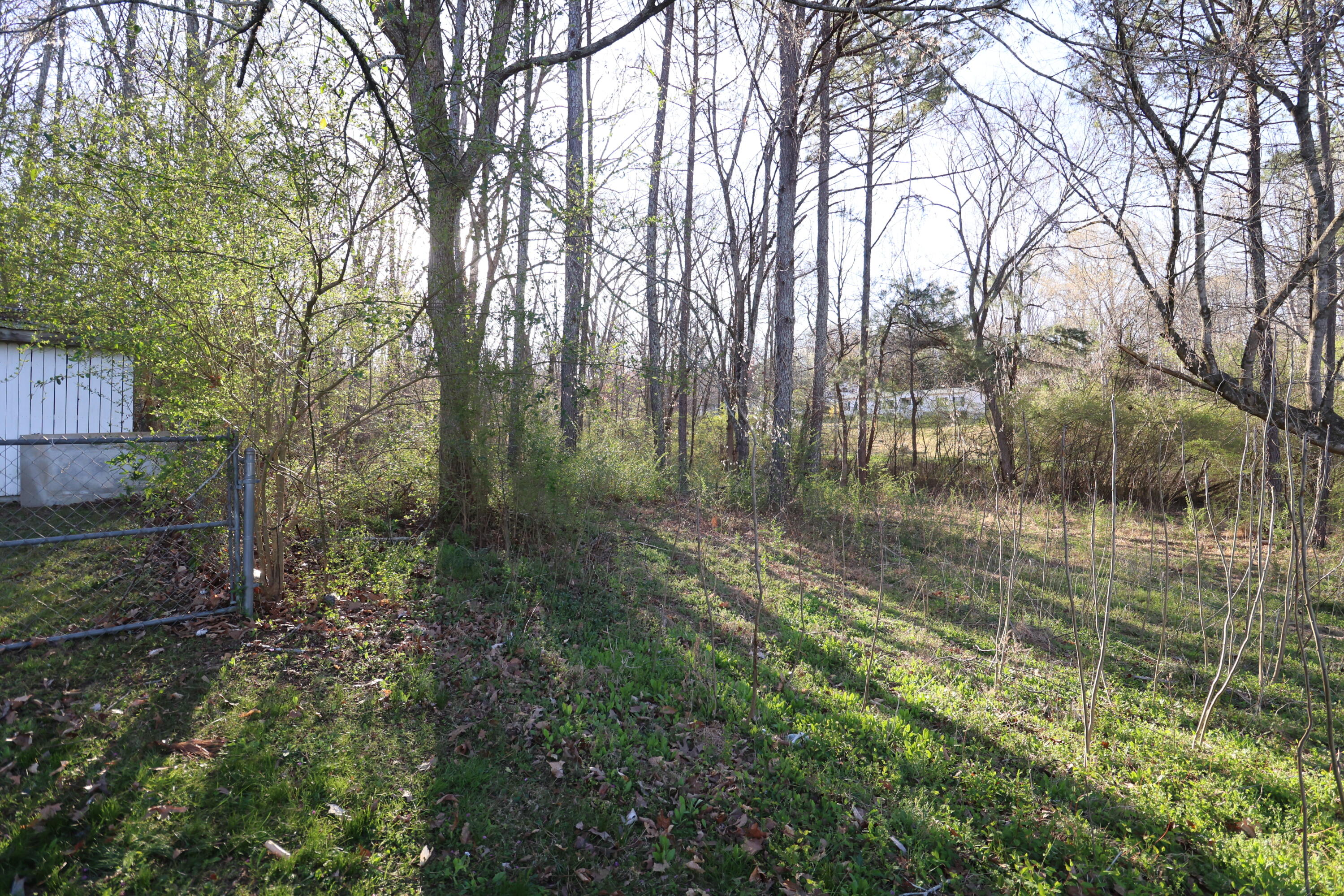 301 Hancock Road Northeast Cleveland, TN 37323 - Photo 26 of 30 4B1A8425