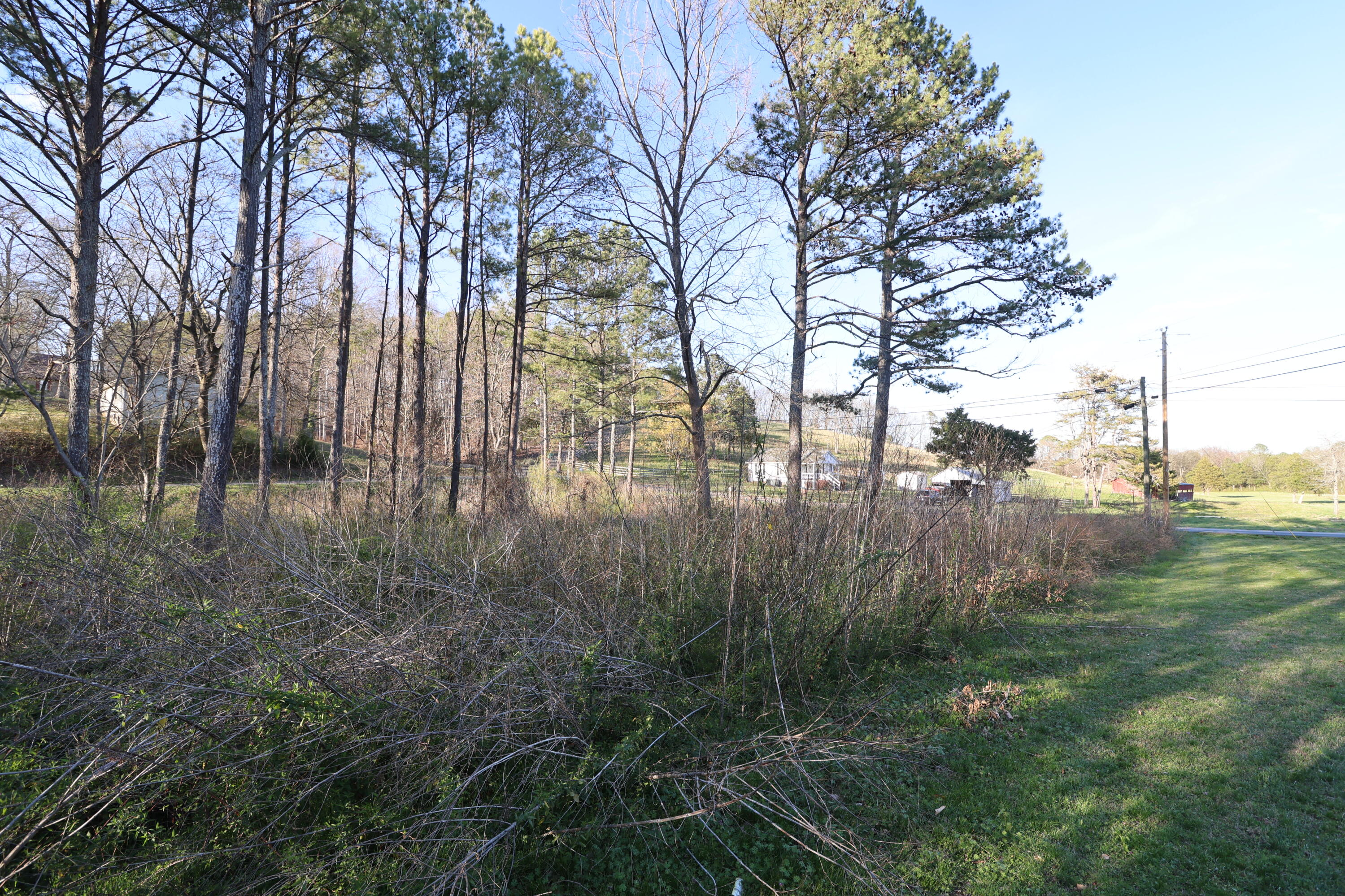 301 Hancock Road Northeast Cleveland, TN 37323 - Photo 28 of 30 4B1A8430