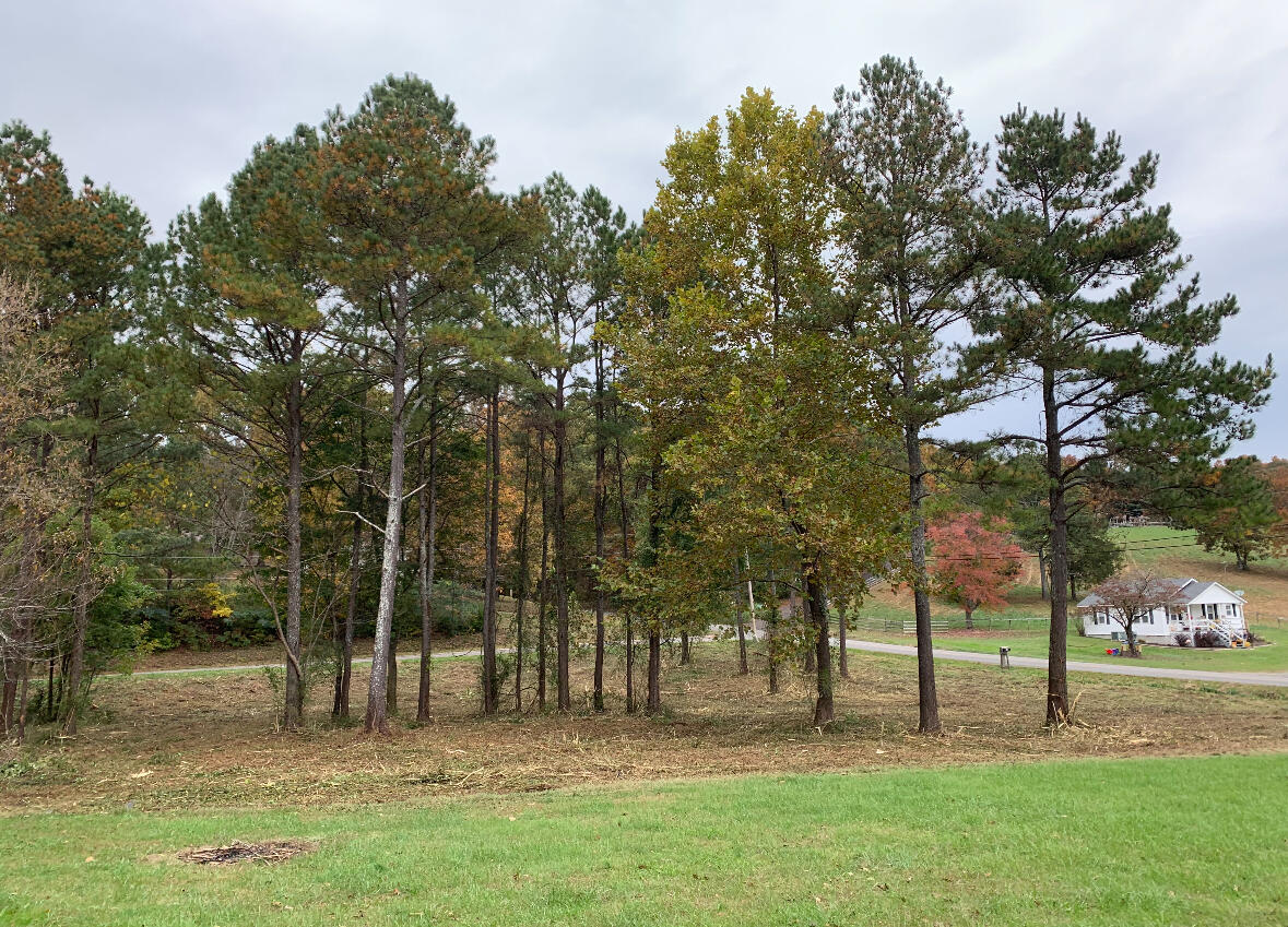 301 Hancock Road Northeast Cleveland, TN 37323 - Photo 30 of 30 IMG_6988