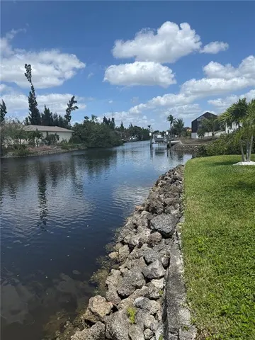 a view of a backyard with plants and a patio