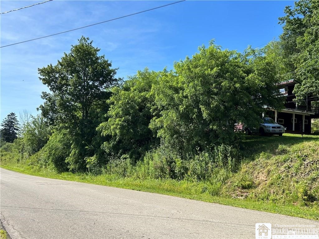 256 Bragg Road Carroll, NY 14738 - Photo 2 of 44