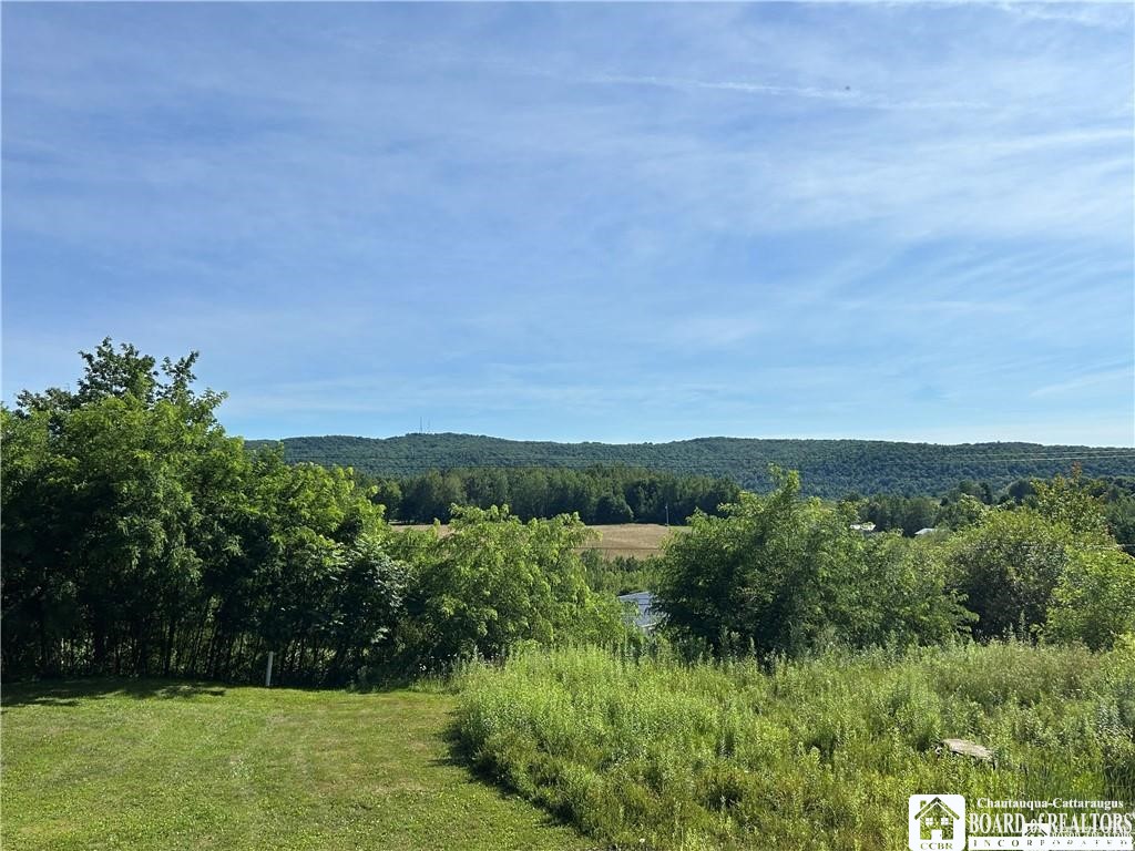 256 Bragg Road Carroll, NY 14738 - Photo 3 of 44