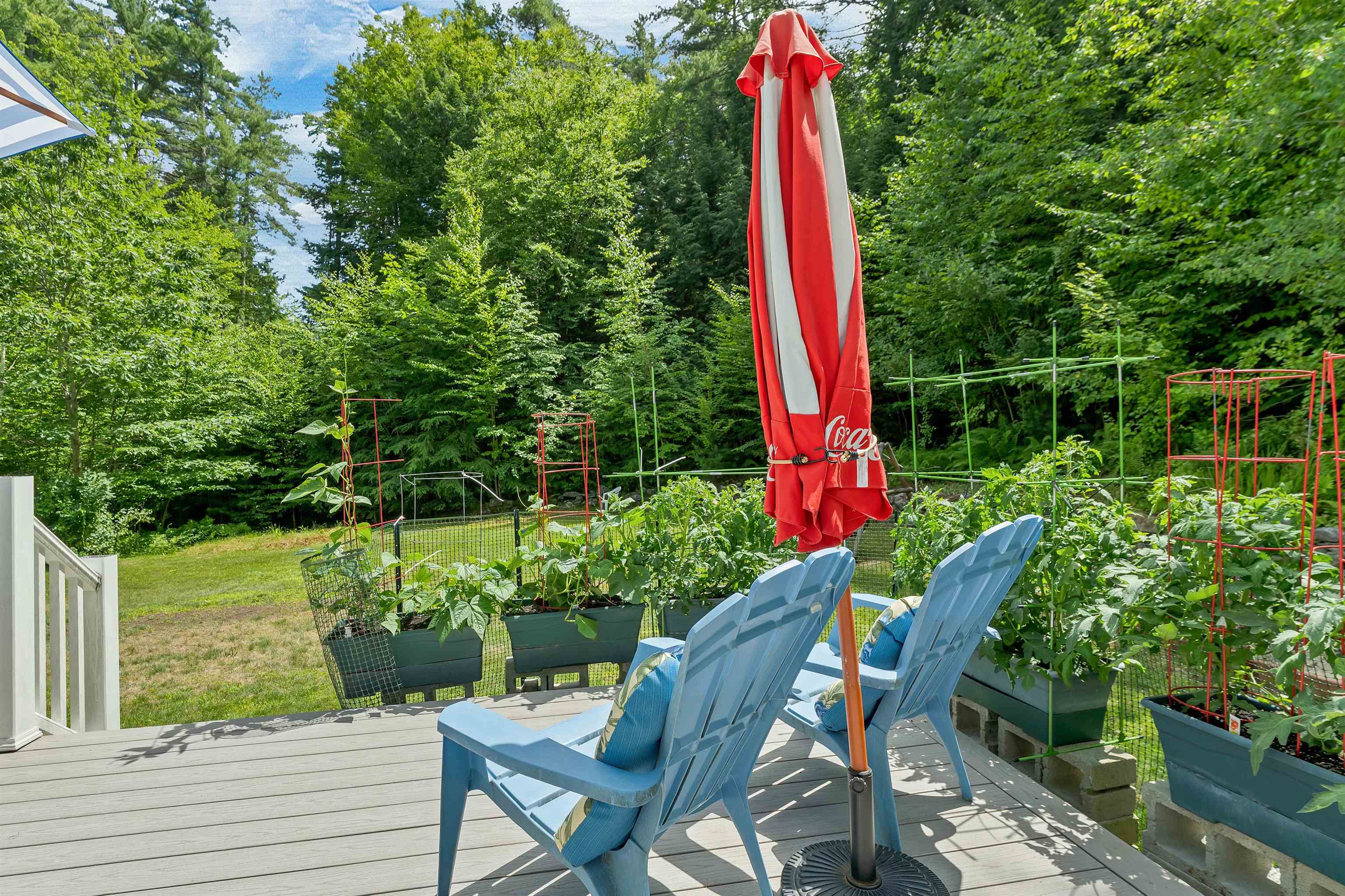 32 Winona Shores Road Meredith, NH 03253 - Photo 6 of 60