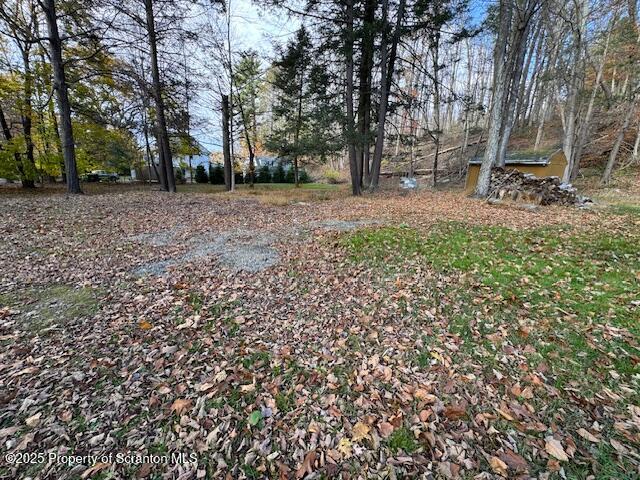 12078 Creek Road Clarks Summit, PA 18411 - Photo 3 of 20 a view of a tree in front of a house